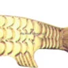 Acme S302/G Phoebe Spoon, 1 5/8", 1/8 Oz, Gold -Fishing Equipment Shop 0287 0125 07613.1619100465