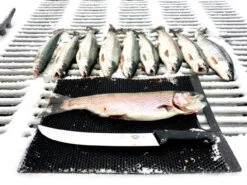 Fillet Away Fish Mat -Fishing Equipment Shop 26112476 1667491826651031 9039020572915033783 n 41595.1515767474