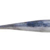 Berkley Gulp Ice - 1 Inch Minnow - GHIMI1-FTHD 1 Berkley Gulp Ice - 1 Inch Minnow - GHIMI1-FTHD -Fishing Equipment Shop GHIMI1 FTHD 79297.1595434013