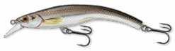 Live Target Rainbow Smelt Banana Bait 4 1/2" Shallow Dive